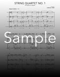 String Quartet No. 1 - The Essence of Jeppidu